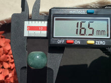 將圖片載入圖庫檢視器 『#柏林松園 』|𝙵𝚘𝚛𝚎𝚜𝚝 𝙹𝚊𝚍𝚎𝚒𝚝𝚎 𝙱𝚎𝚊𝚗 | CP.7#22