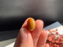將圖片載入圖庫檢視器 『 #蜜糖拖肥 』｜16.8mm｜CP.6#8
