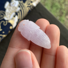 將圖片載入圖庫檢視器 『#冰紫粟米 』｜𝙻𝚊𝚟𝚎𝚗𝚍𝚎𝚛 𝙲𝚘𝚛𝚗 𝙹𝚊𝚍𝚎𝚒𝚝𝚎 𝙿𝚎𝚗𝚍𝚊𝚗𝚝 | CP.14#6
